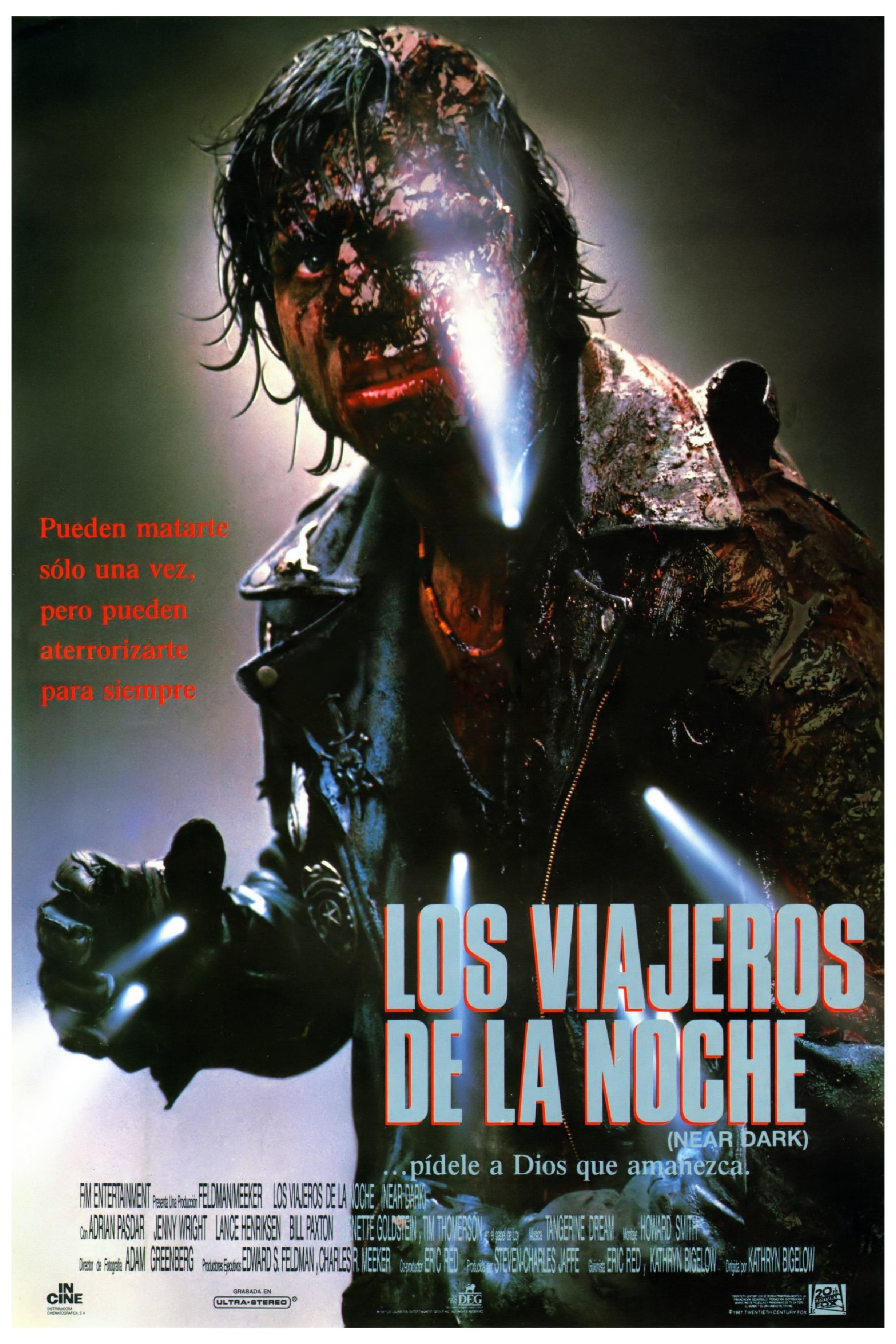 Poster de Cuando cae la oscuridad en español