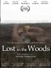 Lost in the Woods