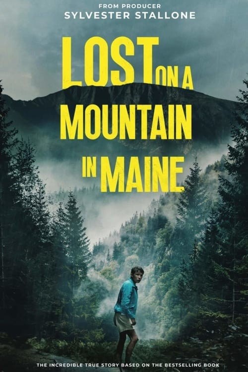 Poster de LOST ON A MOUNTAIN IN MAINE en inglés