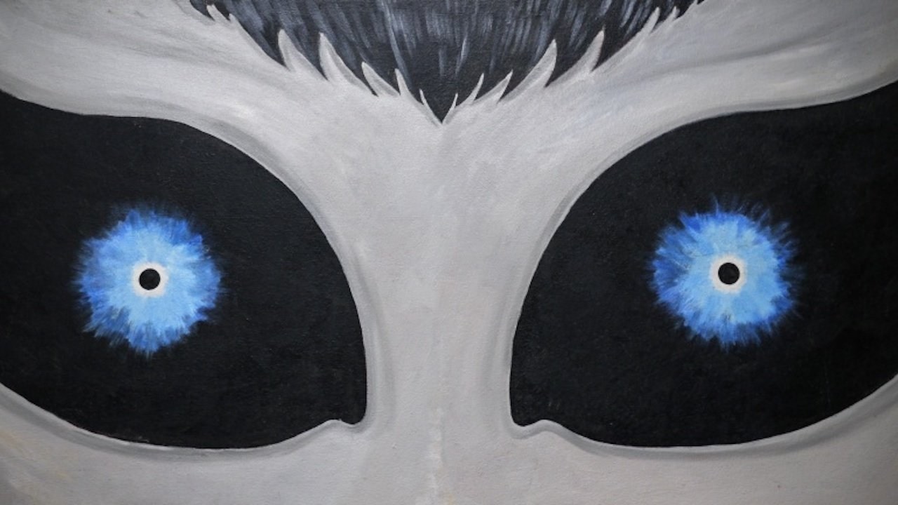 Foto de LOVE AND SAUCERS