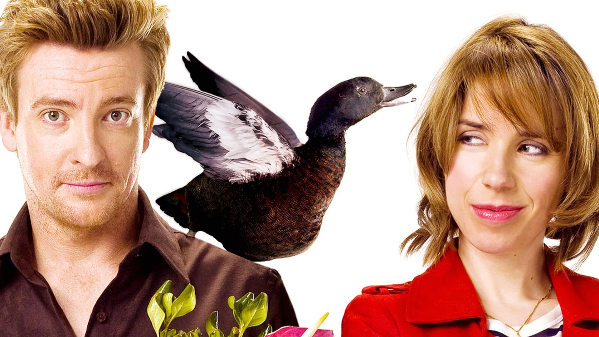 Foto de LOVE BIRDS