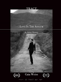 Love In The Asylum