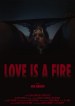 Love is a Fire