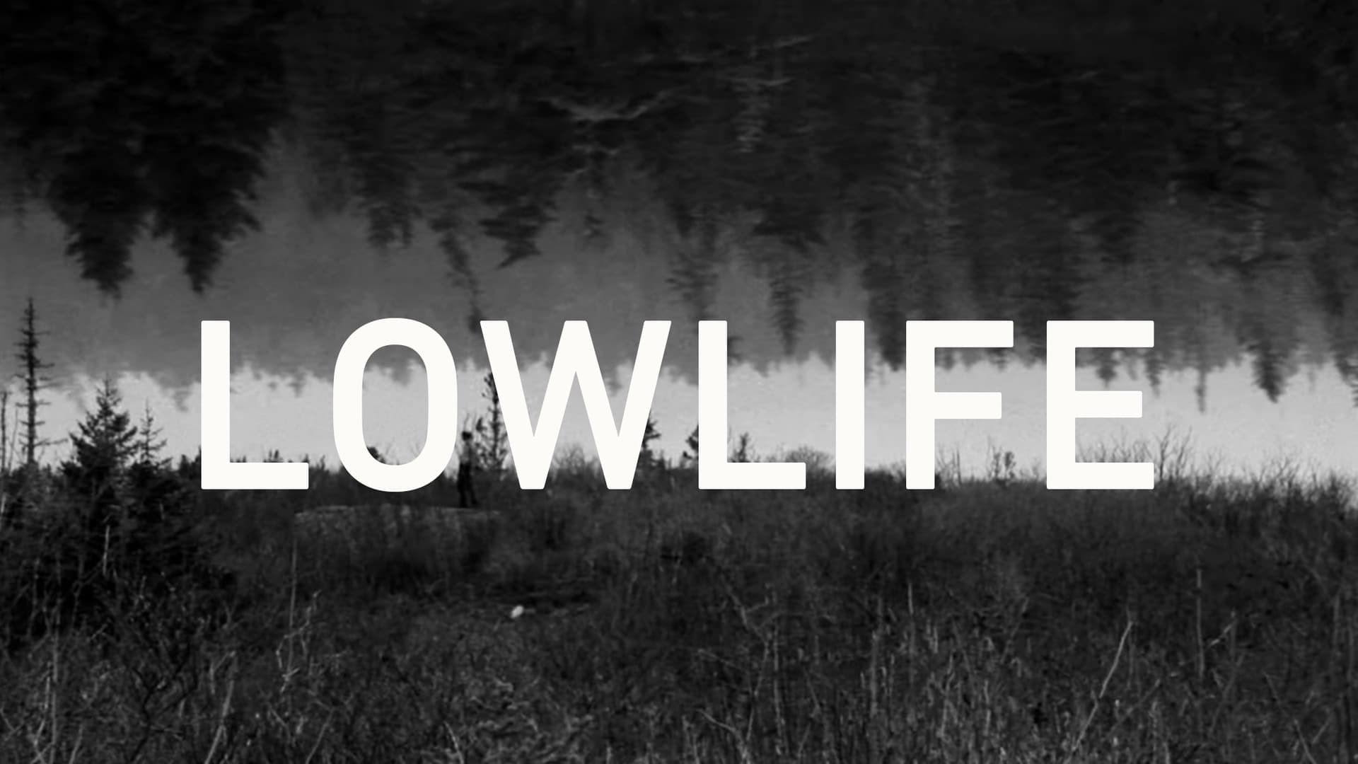 Foto de LOWLIFE