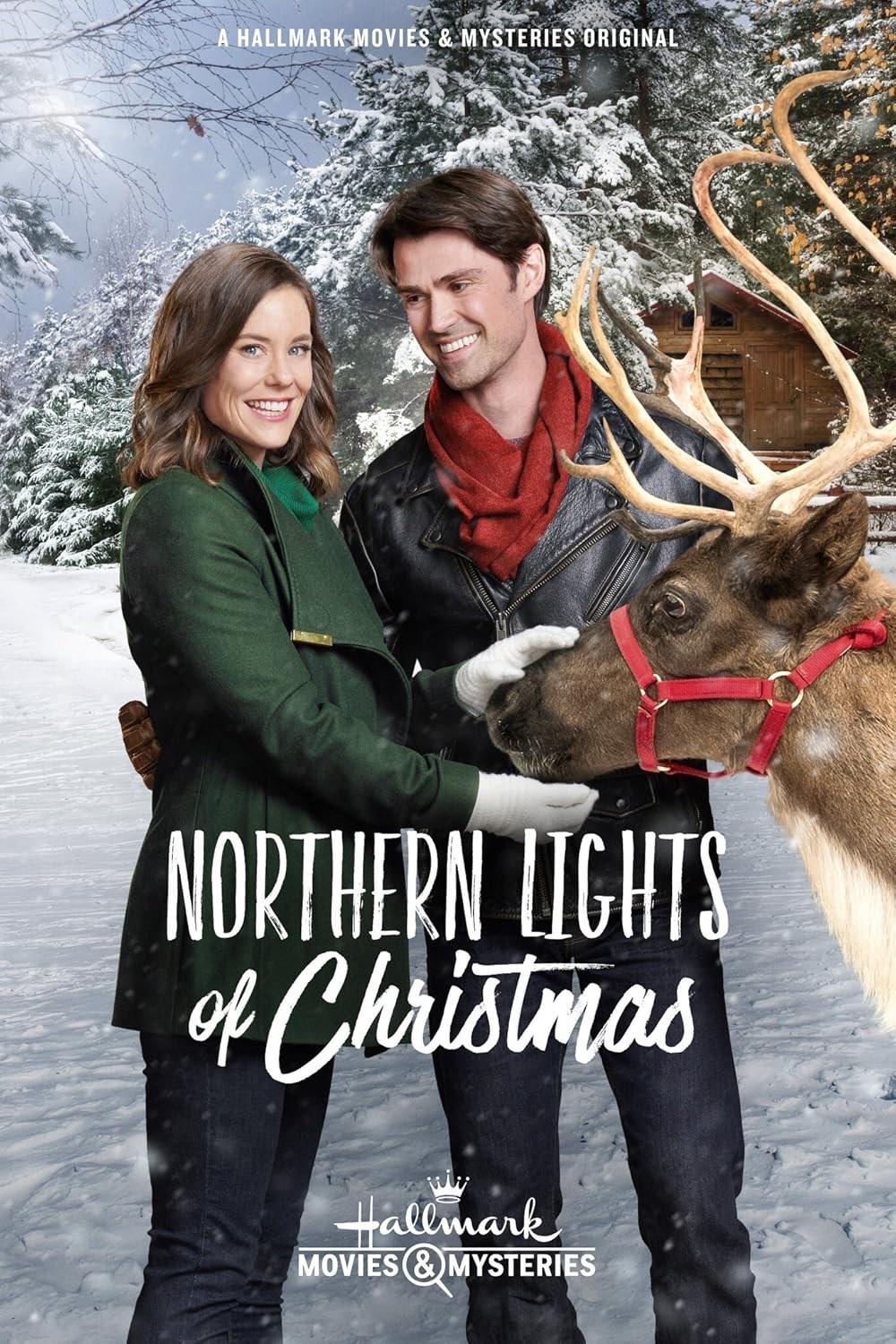 Poster de LUCES DEL NORTE DE NAVIDAD