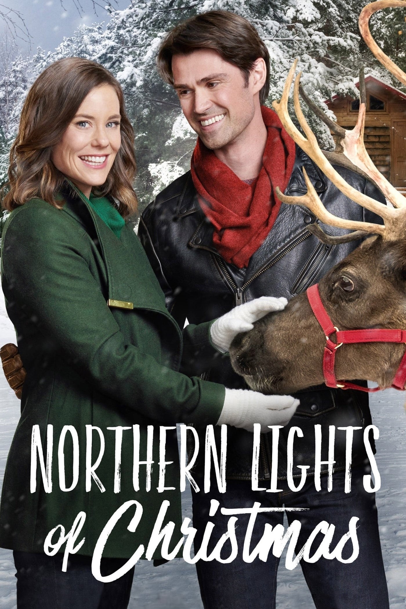 Poster de LUCES DEL NORTE DE NAVIDAD en inglés