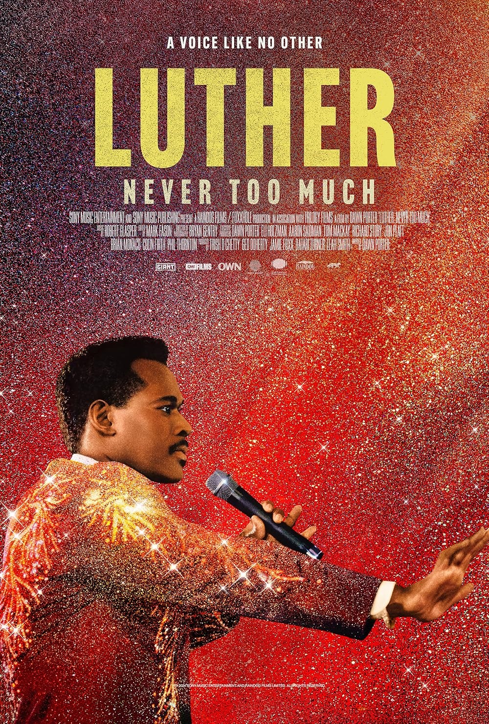 Poster de LUTHER: NEVER TOO MUCH
