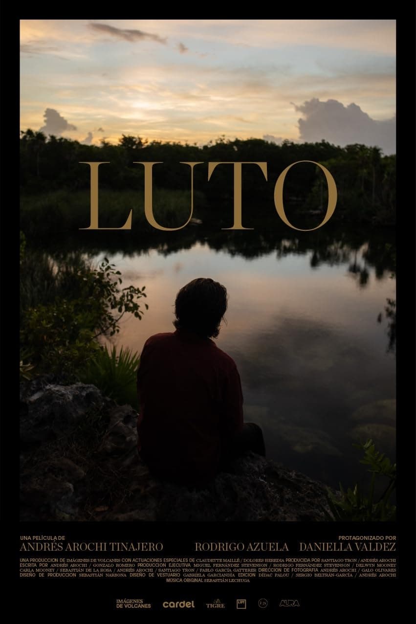 Poster de LUTO