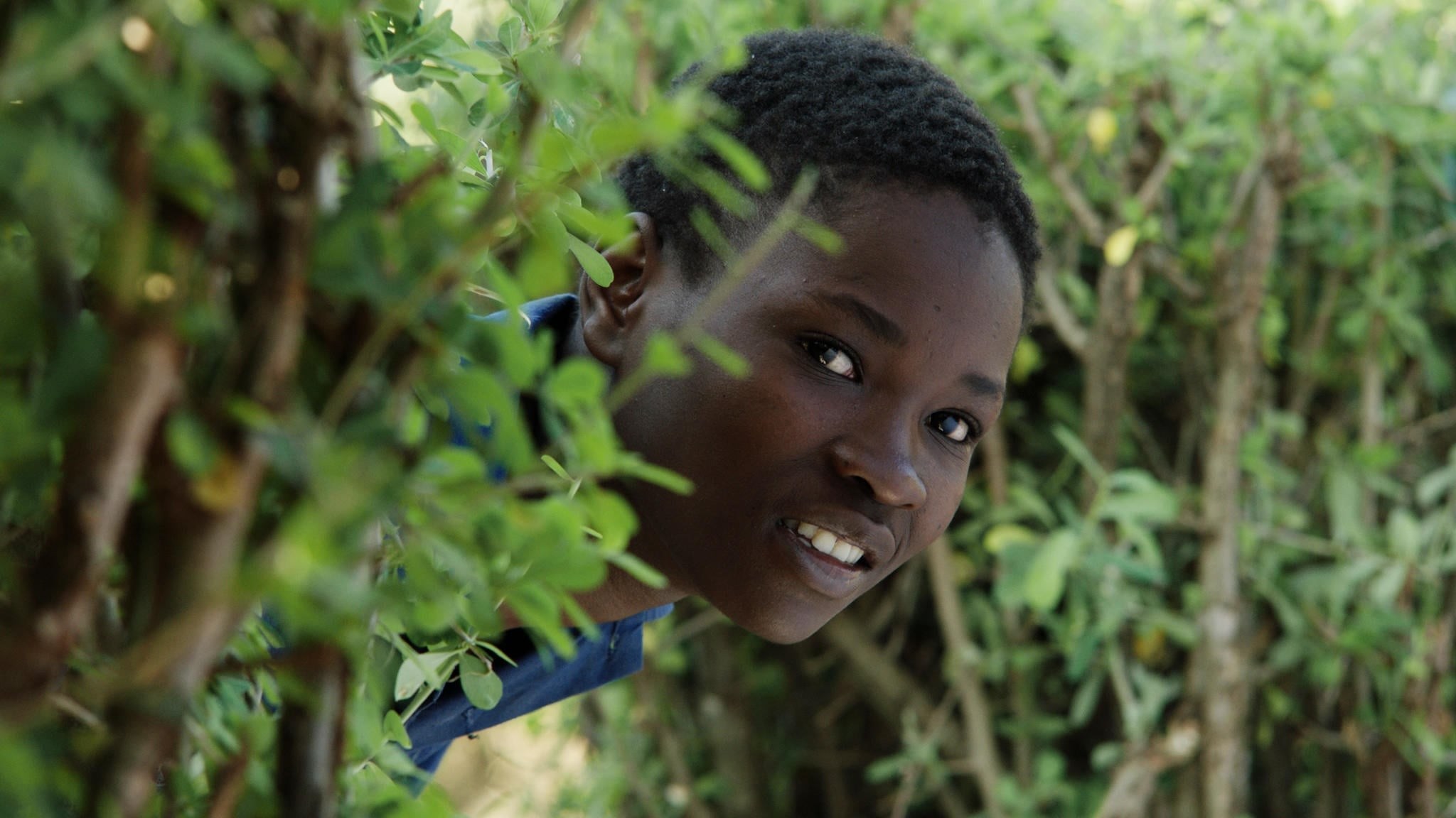 Foto de MABATA BATA
