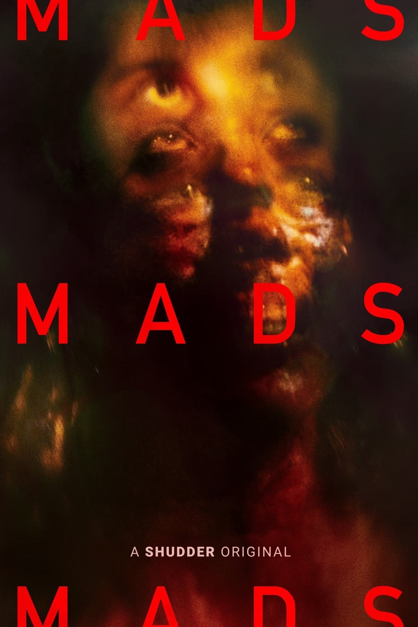Poster de MADS