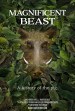 Magnificent Beast