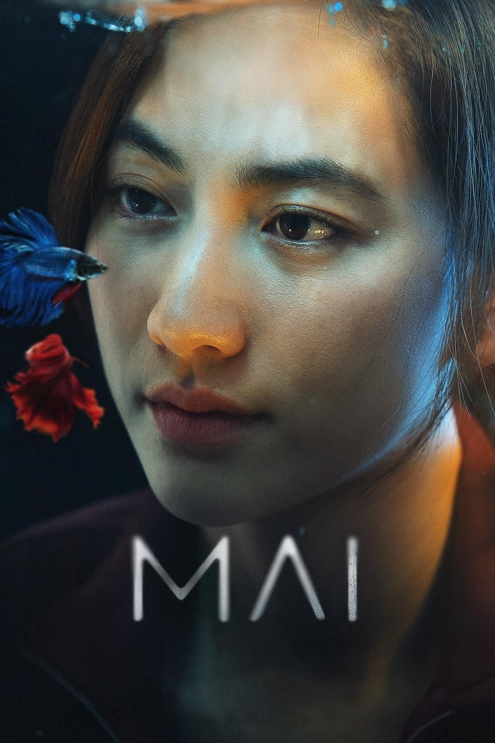 Poster de MAI en inglés