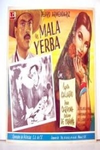 Mala yerba