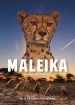 Maleika