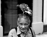 Manbird