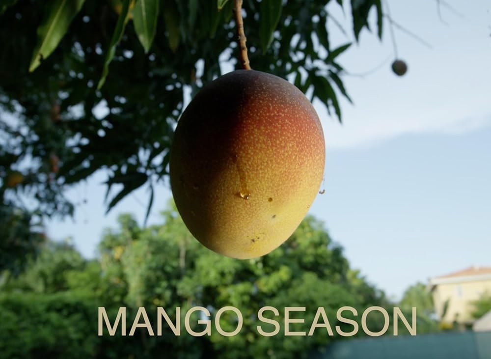 Poster de MANGO SEASON