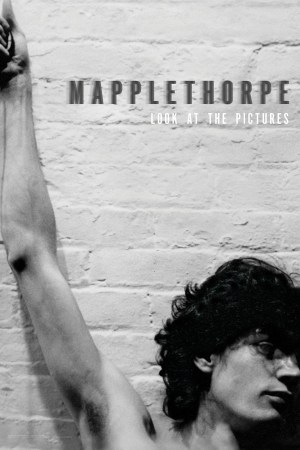 Mapplethorpe: Look at the Pictures 