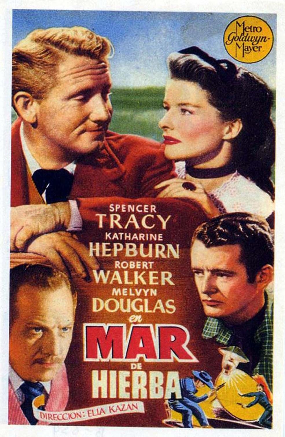 Poster de MAR DE HIERBA en español