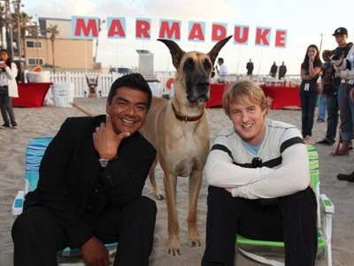 Foto de MARMADUKE