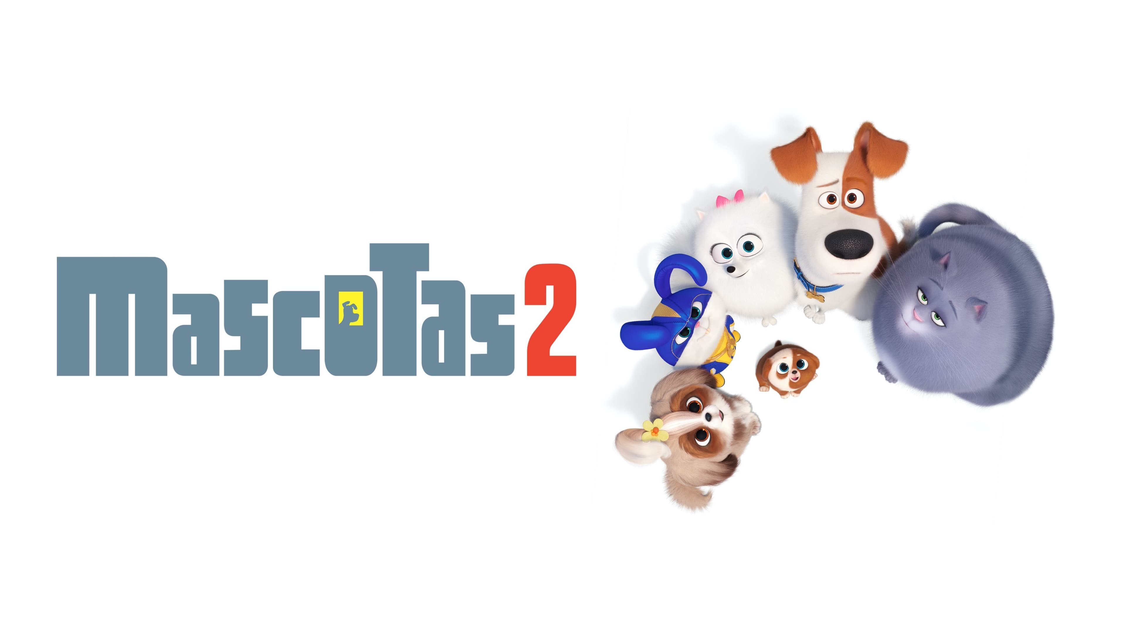 Foto de MASCOTAS 2