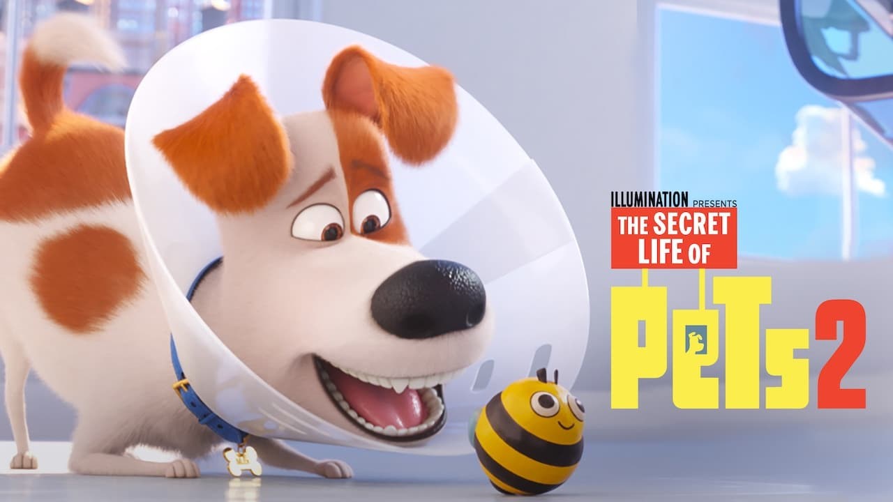 Foto de MASCOTAS 2