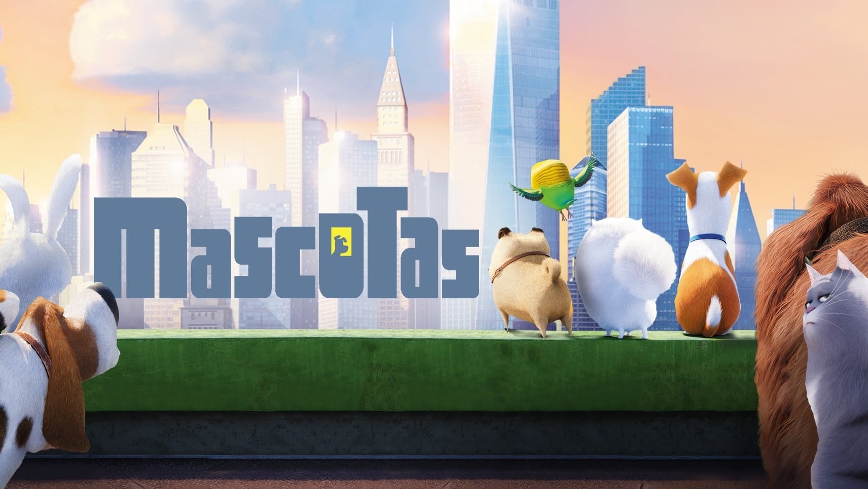 Foto de MASCOTAS