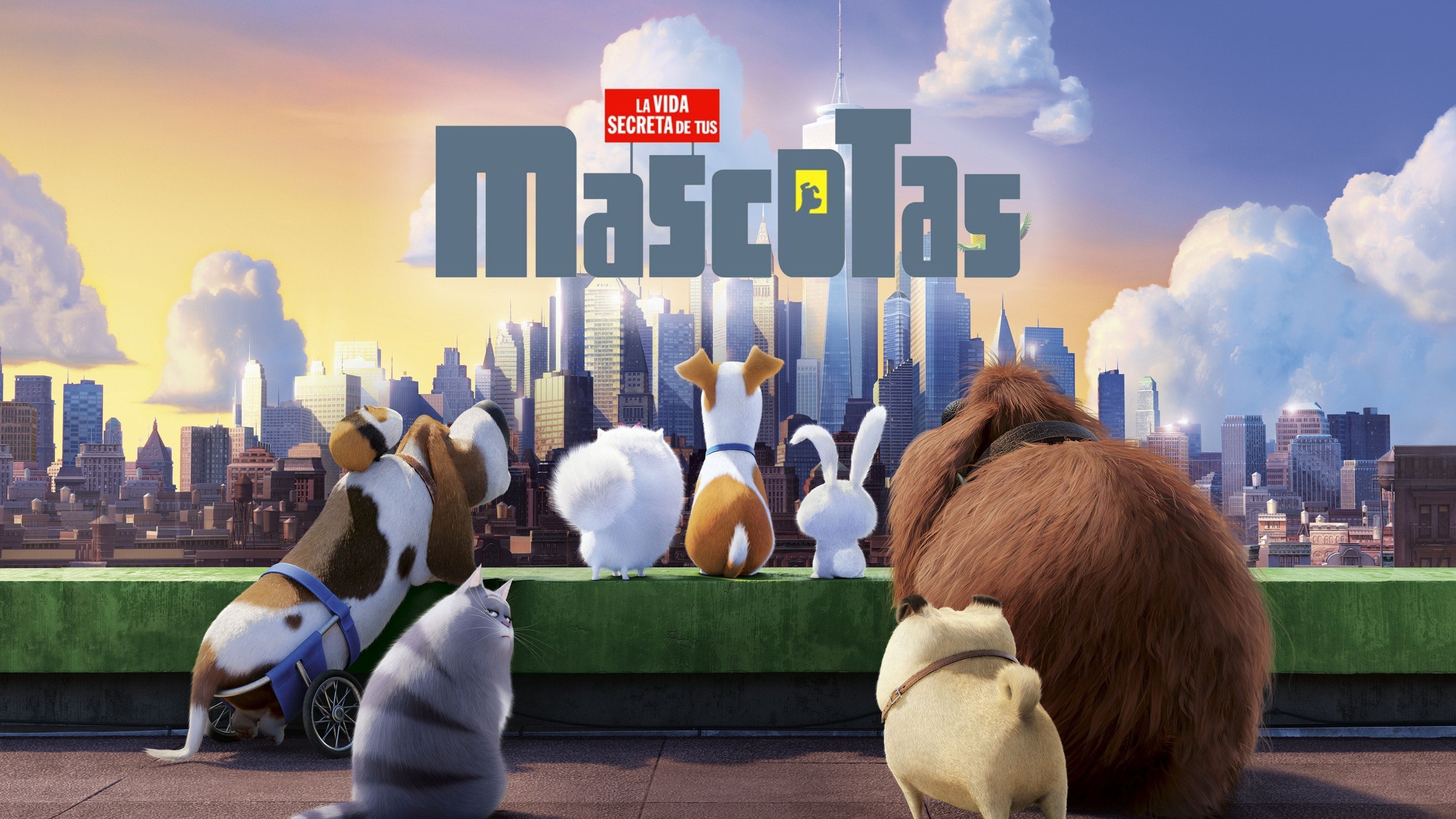 Foto de MASCOTAS