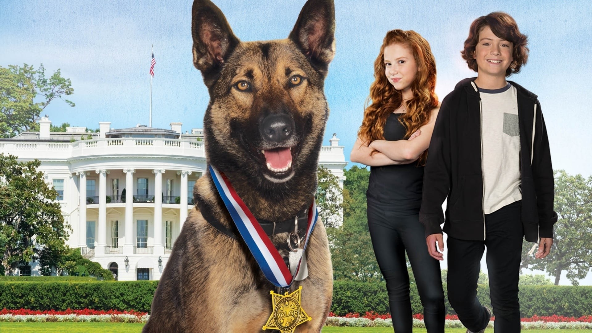 Foto de MAX 2: EL HÉROE DE LA CASA BLANCA
