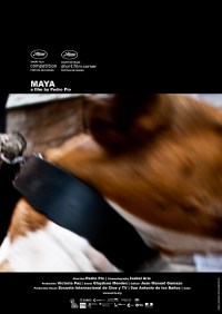 Maya
