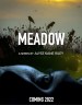 Meadow