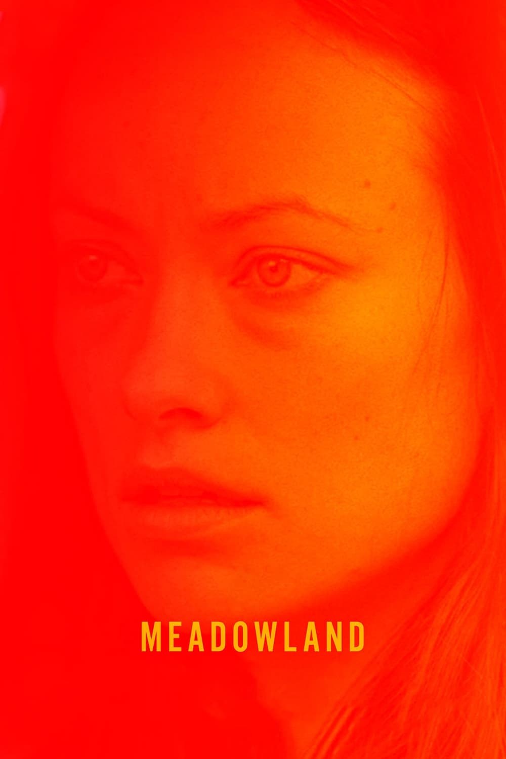 Poster de MEADOWLAND en inglés