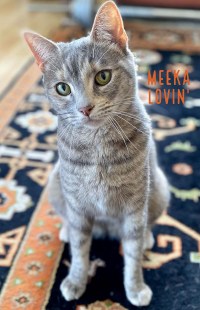 Meeka Lovin'