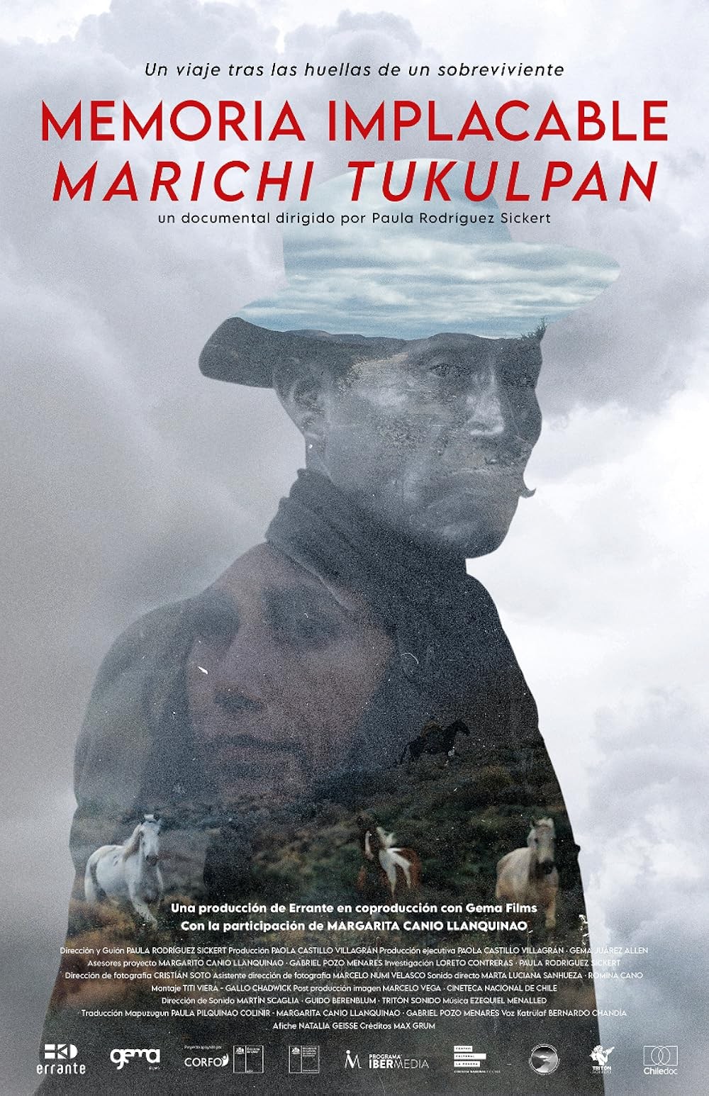 Poster de MEMORIA IMPLACABLE