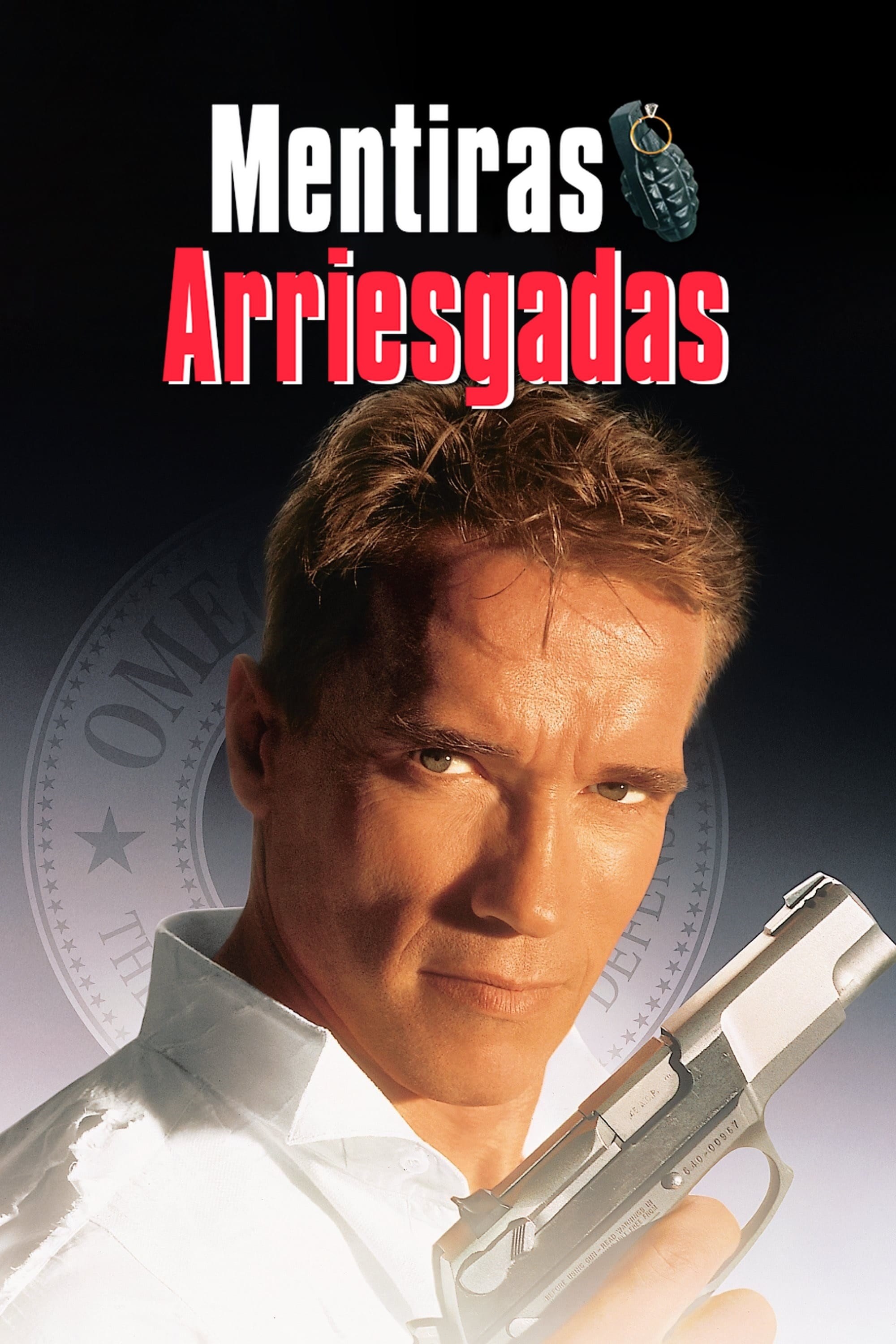 Poster de MENTIRAS ARRIESGADAS en español