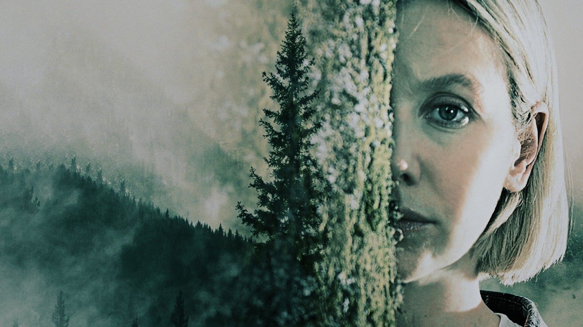 Foto de MERCY FALLS