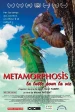 Metamorphosis, la lutte pour la vie