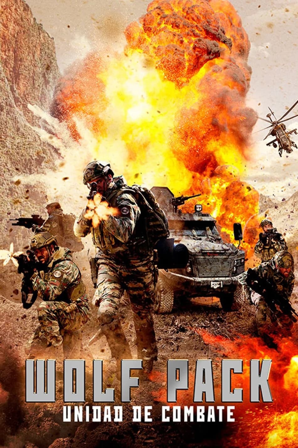 Poster de METELER en español