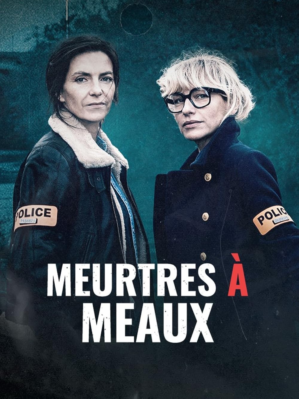 Poster de MEURTRES À MEAUX