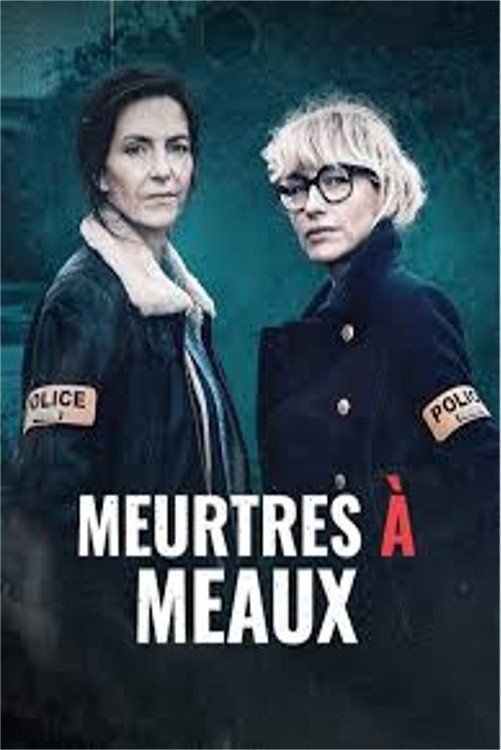 Poster de MEURTRES À MEAUX