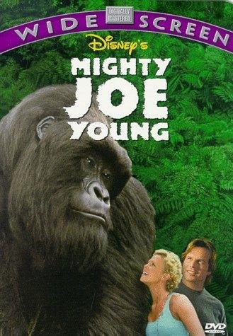 Poster de MI GRAN AMIGO JOE