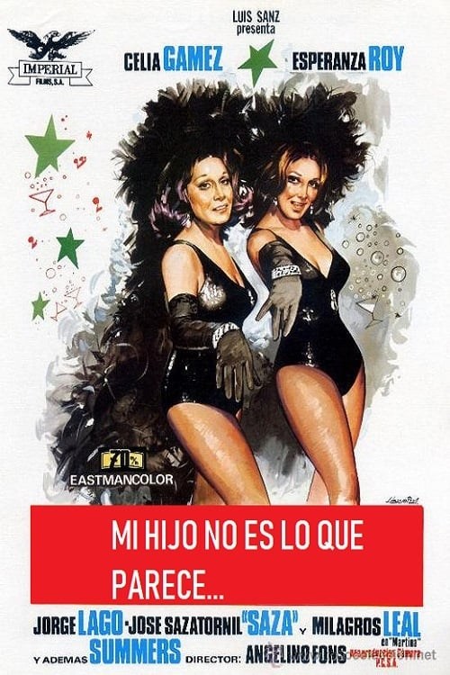 Poster de MI HIJO NO ES LO QUE PARECE en español