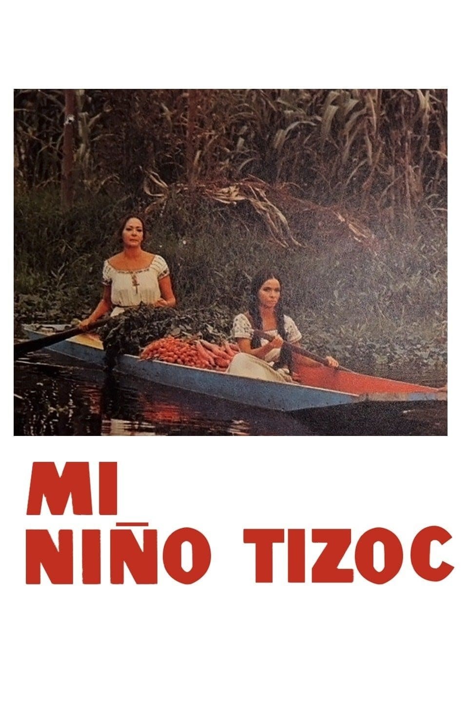 Poster de MI NIÑO TIZOC en español