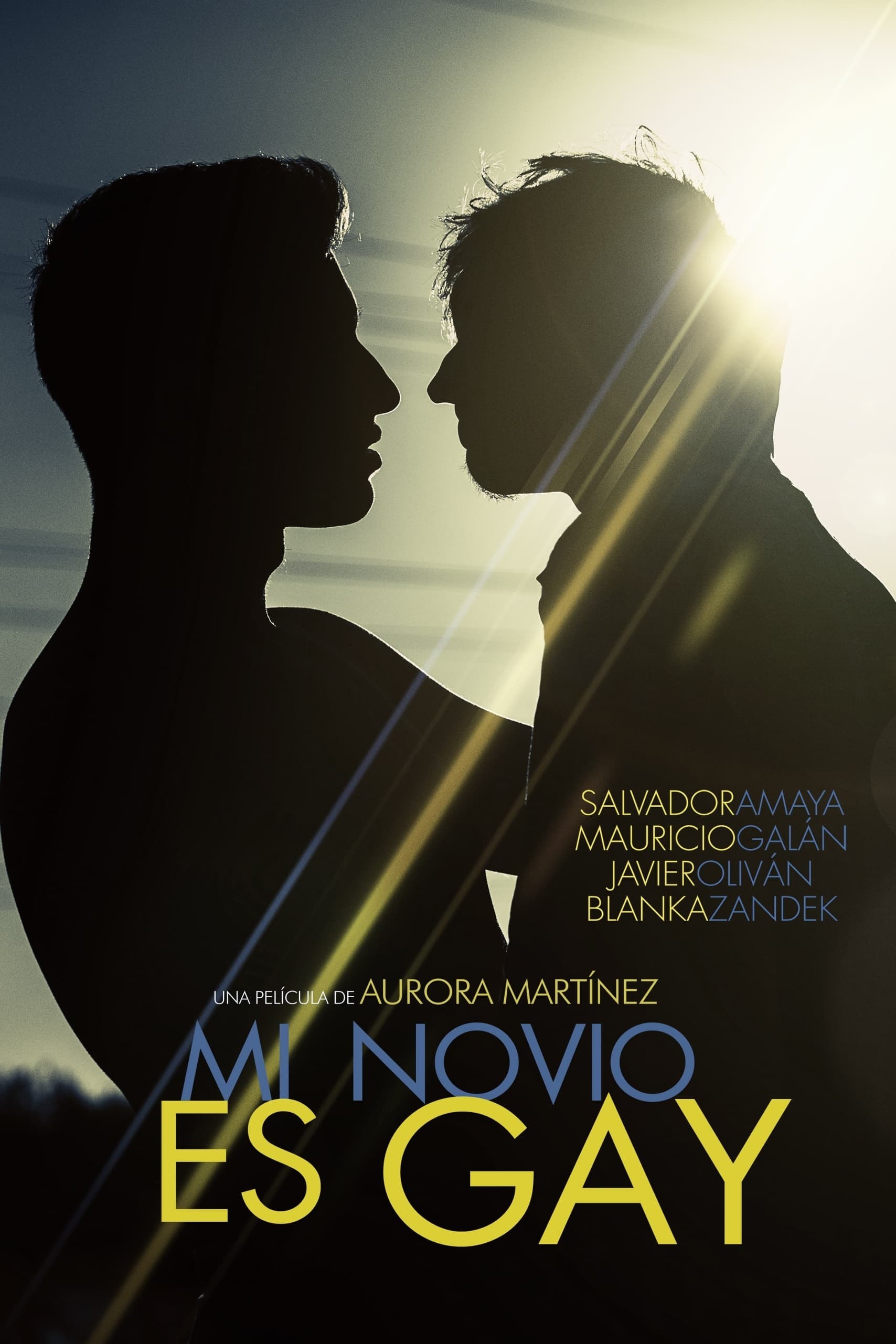 Poster de MI NOVIO ES GAY