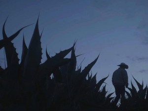Mi Ranchito