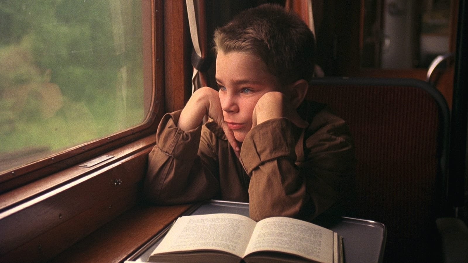 Foto de MI VIDA COMO UN PERRO