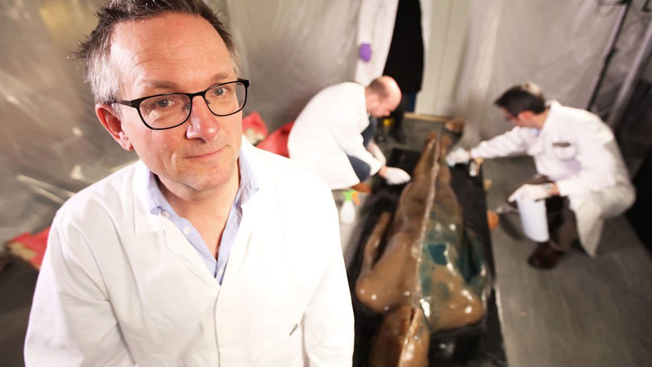 Foto de MICHAEL MOSLEY VS. THE SUPERBUGS