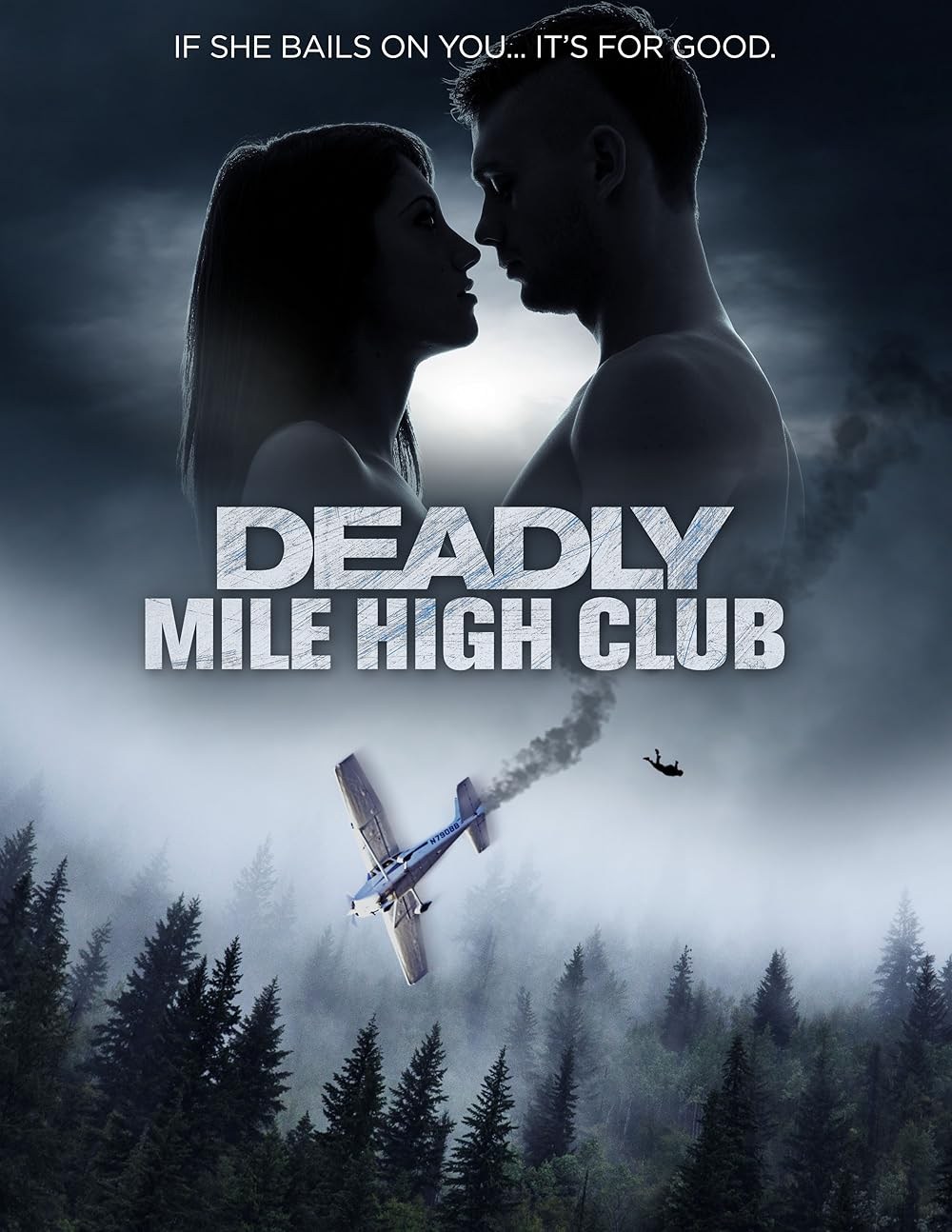Poster de MIEDO A VOLAR