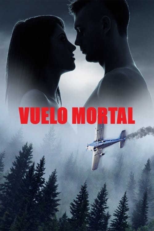 Poster de MIEDO A VOLAR en español