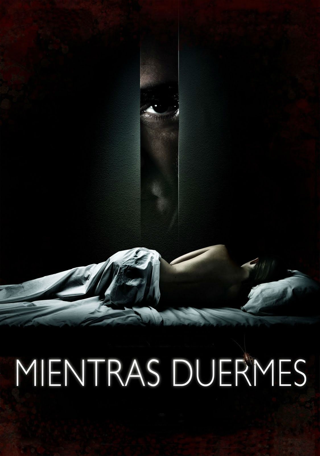 Poster de MIENTRAS DUERMES en español