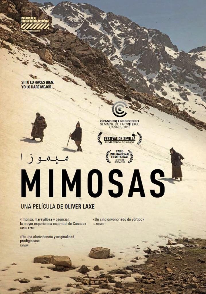 Poster de MIMOSAS en inglés
